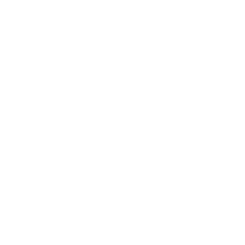 João Luis Rieth